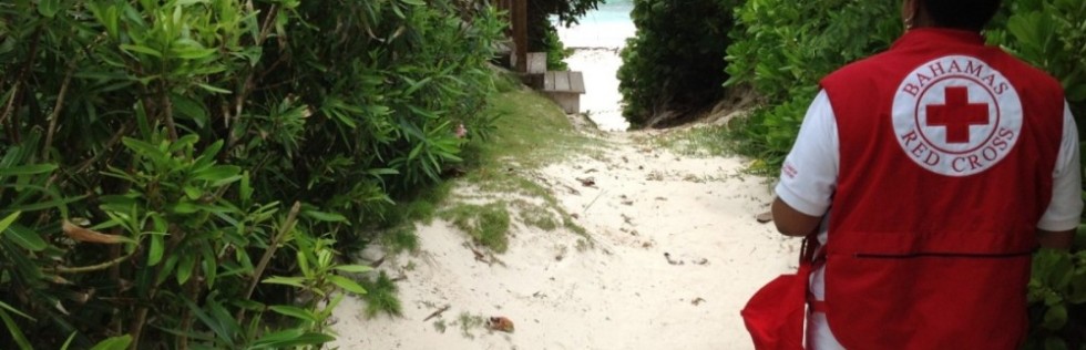 VOLUNTEERING IN PARADISE!